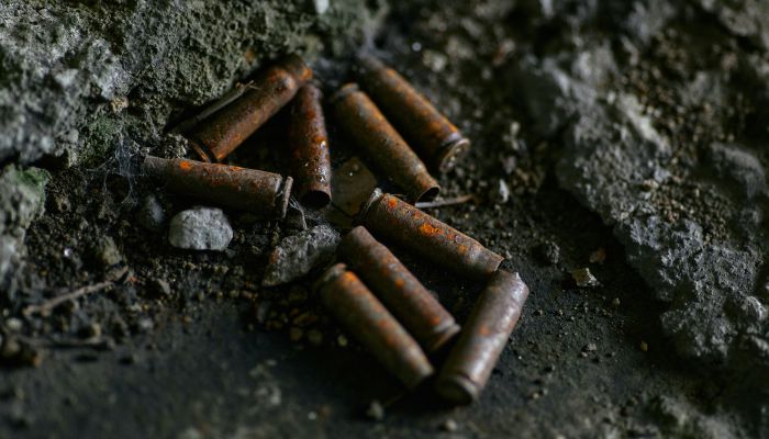 Subsistence hunting with lead-based ammunition in tropical rainforests and health risks for global indigenous people (INDILEAD)