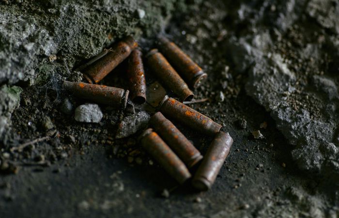 Subsistence hunting with lead-based ammunition in tropical rainforests and health risks for global indigenous people (INDILEAD)